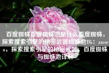 百度蜘蛛百度蜘蛛池是什么百度蜘蛛，探索搜索引擎的秘密武器蜘蛛池TG：zzcseo，探索搜索引擎的秘密武器，百度蜘蛛与蜘蛛池详解