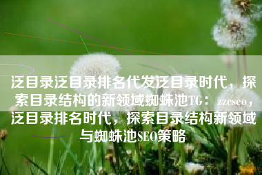 泛目录泛目录排名代发泛目录时代，探索目录结构的新领域蜘蛛池TG：zzcseo，泛目录排名时代，探索目录结构新领域与蜘蛛池SEO策略