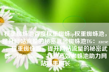 权重蜘蛛池百度权重蜘蛛ip权重蜘蛛池，提升网站流量的秘密武器蜘蛛池TG：zzcseo，权重蜘蛛池，提升网站流量的秘密武器，TG，zzcseo，打造高效蜘蛛池助力网站权重增长