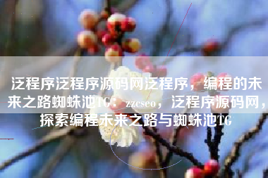 泛程序泛程序源码网泛程序，编程的未来之路蜘蛛池TG：zzcseo，泛程序源码网，探索编程未来之路与蜘蛛池TG