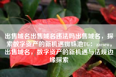 出售域名出售域名违法吗出售域名，探索数字资产的新机遇蜘蛛池TG：zzcseo，出售域名，数字资产的新机遇与法规边缘探索
