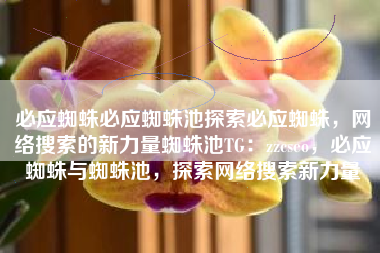 必应蜘蛛必应蜘蛛池探索必应蜘蛛，网络搜索的新力量蜘蛛池TG：zzcseo，必应蜘蛛与蜘蛛池，探索网络搜索新力量