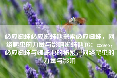 必应蜘蛛必应蜘蛛池探索必应蜘蛛，网络爬虫的力量与影响蜘蛛池TG：zzcseo，必应蜘蛛与蜘蛛池的秘密，网络爬虫的力量与影响