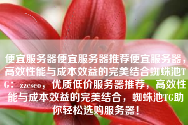 便宜服务器便宜服务器推荐便宜服务器，高效性能与成本效益的完美结合蜘蛛池TG：zzcseo，优质低价服务器推荐，高效性能与成本效益的完美结合，蜘蛛池TG助你轻松选购服务器！