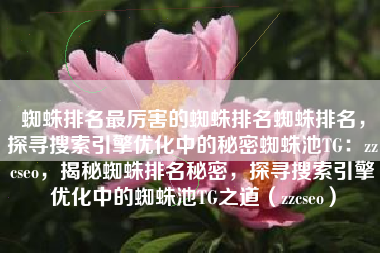 蜘蛛排名最厉害的蜘蛛排名蜘蛛排名，探寻搜索引擎优化中的秘密蜘蛛池TG：zzcseo，揭秘蜘蛛排名秘密，探寻搜索引擎优化中的蜘蛛池TG之道（zzcseo）
