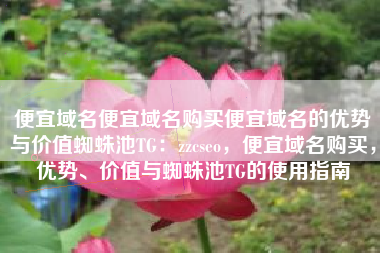 便宜域名便宜域名购买便宜域名的优势与价值蜘蛛池TG：zzcseo，便宜域名购买，优势、价值与蜘蛛池TG的使用指南
