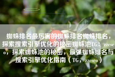 蜘蛛排名最厉害的蜘蛛排名蜘蛛排名，探索搜索引擎优化的秘密蜘蛛池TG：zzcseo，探索蜘蛛池的秘密，最强蜘蛛排名与搜索引擎优化指南（TG，zzcseo）