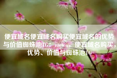 便宜域名便宜域名购买便宜域名的优势与价值蜘蛛池TG：zzcseo，便宜域名购买，优势、价值与蜘蛛池TG