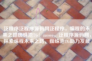 泛程序泛程序源码网泛程序，编程的未来之路蜘蛛池TG：zzcseo，泛程序源码网，探索编程未来之路，蜘蛛池TG助力发展