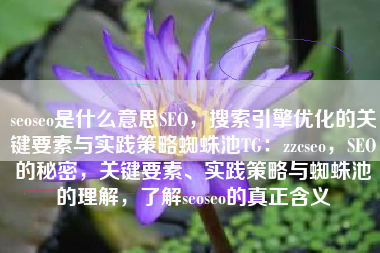 seoseo是什么意思SEO，搜索引擎优化的关键要素与实践策略蜘蛛池TG：zzcseo，SEO的秘密，关键要素、实践策略与蜘蛛池的理解，了解seoseo的真正含义
