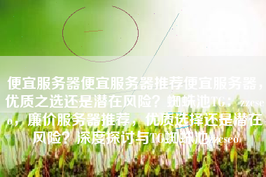 便宜服务器便宜服务器推荐便宜服务器，优质之选还是潜在风险？蜘蛛池TG：zzcseo，廉价服务器推荐，优质选择还是潜在风险？深度探讨与TG蜘蛛池zzcseo