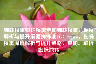 蜘蛛权重蜘蛛权重查询蜘蛛权重，深度解析与提升策略蜘蛛池TG：zzcseo，蜘蛛权重深度解析与提升策略，查询、解析蜘蛛池TG