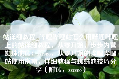 站详细教程_哔哩哔哩站怎么用哔哩哔哩上的站详细教程，从零开始，步步为营蜘蛛池TG：zzcseo，从零开始的哔哩哔哩站使用指南，详细教程与蜘蛛池技巧分享（附TG，zzcseo）