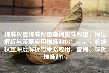 蜘蛛权重蜘蛛权重查询蜘蛛权重，深度解析与策略应用蜘蛛池TG：zzcseo，蜘蛛权重深度解析与策略应用，查询、解析蜘蛛池TG