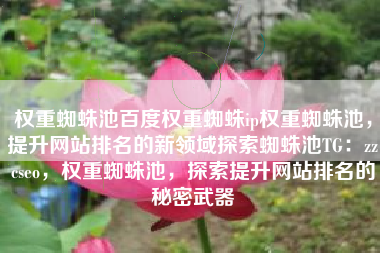 权重蜘蛛池百度权重蜘蛛ip权重蜘蛛池，提升网站排名的新领域探索蜘蛛池TG：zzcseo，权重蜘蛛池，探索提升网站排名的秘密武器