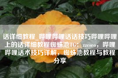 话详细教程_哔哩哔哩话话技巧哔哩哔哩上的话详细教程蜘蛛池TG：zzcseo，哔哩哔哩话术技巧详解，蜘蛛池教程与教程分享