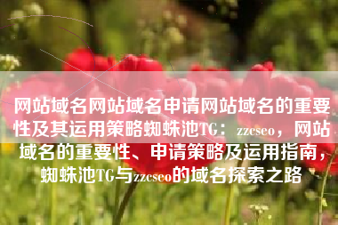 网站域名网站域名申请网站域名的重要性及其运用策略蜘蛛池TG：zzcseo，网站域名的重要性、申请策略及运用指南，蜘蛛池TG与zzcseo的域名探索之路