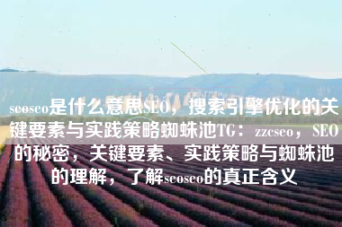 seoseo是什么意思SEO，搜索引擎优化的关键要素与实践策略蜘蛛池TG：zzcseo，SEO的秘密，关键要素、实践策略与蜘蛛池的理解，了解seoseo的真正含义