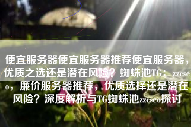 便宜服务器便宜服务器推荐便宜服务器，优质之选还是潜在风险？蜘蛛池TG：zzcseo，廉价服务器推荐，优质选择还是潜在风险？深度解析与TG蜘蛛池zzcseo探讨