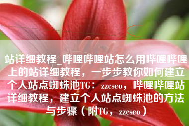 站详细教程_哔哩哔哩站怎么用哔哩哔哩上的站详细教程，一步步教你如何建立个人站点蜘蛛池TG：zzcseo，哔哩哔哩站详细教程，建立个人站点蜘蛛池的方法与步骤（附TG，zzcseo）