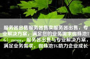服务器出售服务器售卖服务器出售，专业解决方案，满足您的业务需求蜘蛛池TG：zzcseo，服务器出售与专业解决方案，满足业务需求，蜘蛛池TG助力企业成长