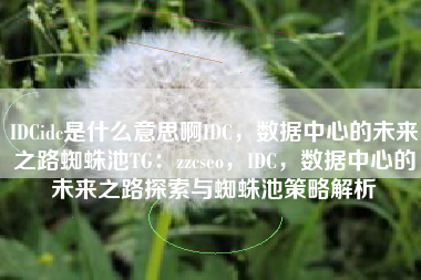 IDCidc是什么意思啊IDC，数据中心的未来之路蜘蛛池TG：zzcseo，IDC，数据中心的未来之路探索与蜘蛛池策略解析