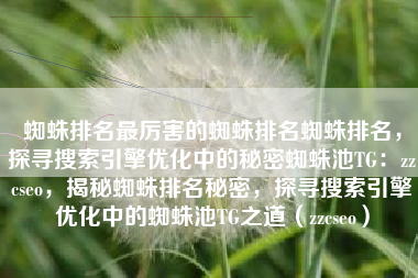 蜘蛛排名最厉害的蜘蛛排名蜘蛛排名，探寻搜索引擎优化中的秘密蜘蛛池TG：zzcseo，揭秘蜘蛛排名秘密，探寻搜索引擎优化中的蜘蛛池TG之道（zzcseo）