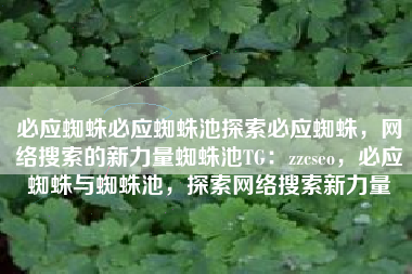 必应蜘蛛必应蜘蛛池探索必应蜘蛛，网络搜索的新力量蜘蛛池TG：zzcseo，必应蜘蛛与蜘蛛池，探索网络搜索新力量