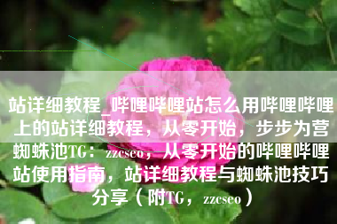 站详细教程_哔哩哔哩站怎么用哔哩哔哩上的站详细教程，从零开始，步步为营蜘蛛池TG：zzcseo，从零开始的哔哩哔哩站使用指南，站详细教程与蜘蛛池技巧分享（附TG，zzcseo）