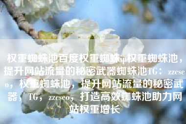 权重蜘蛛池百度权重蜘蛛ip权重蜘蛛池，提升网站流量的秘密武器蜘蛛池TG：zzcseo，权重蜘蛛池，提升网站流量的秘密武器，TG，zzcseo，打造高效蜘蛛池助力网站权重增长