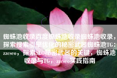 蜘蛛池收录百度蜘蛛池收录蜘蛛池收录，探索搜索引擎优化的秘密武器蜘蛛池TG：zzcseo，探索SEO秘密武器的关键，蜘蛛池收录与TG，zzcseo实践指南