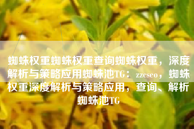 蜘蛛权重蜘蛛权重查询蜘蛛权重，深度解析与策略应用蜘蛛池TG：zzcseo，蜘蛛权重深度解析与策略应用，查询、解析蜘蛛池TG