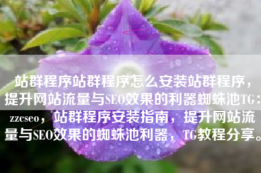 站群程序站群程序怎么安装站群程序，提升网站流量与SEO效果的利器蜘蛛池TG：zzcseo，站群程序安装指南，提升网站流量与SEO效果的蜘蛛池利器，TG教程分享。