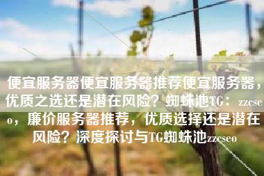 便宜服务器便宜服务器推荐便宜服务器，优质之选还是潜在风险？蜘蛛池TG：zzcseo，廉价服务器推荐，优质选择还是潜在风险？深度探讨与TG蜘蛛池zzcseo