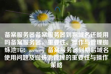 备案服务器备案服务器到期域名还能用吗备案服务器，重要性、操作与管理蜘蛛池TG：zzcseo，备案服务器到期后域名使用问题及蜘蛛池管理的重要性与操作策略