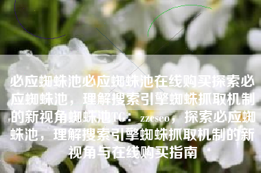 必应蜘蛛池必应蜘蛛池在线购买探索必应蜘蛛池，理解搜索引擎蜘蛛抓取机制的新视角蜘蛛池TG：zzcseo，探索必应蜘蛛池，理解搜索引擎蜘蛛抓取机制的新视角与在线购买指南