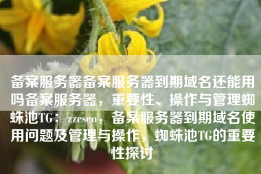 备案服务器备案服务器到期域名还能用吗备案服务器，重要性、操作与管理蜘蛛池TG：zzcseo，备案服务器到期域名使用问题及管理与操作，蜘蛛池TG的重要性探讨