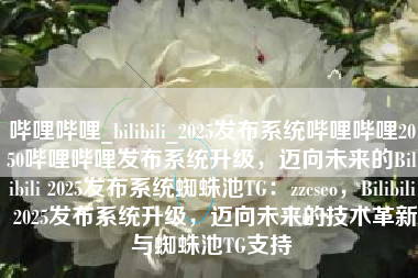 哔哩哔哩_bilibili_2025发布系统哔哩哔哩2050哔哩哔哩发布系统升级，迈向未来的Bilibili 2025发布系统蜘蛛池TG：zzcseo，Bilibili 2025发布系统升级，迈向未来的技术革新与蜘蛛池TG支持