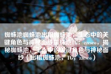 蜘蛛池蜘蛛池出租蜘蛛池，生态中的关键角色与神秘面纱蜘蛛池TG：zzcseo，揭秘蜘蛛池，生态中的关键角色与神秘面纱（出租蜘蛛池，TG，zzcseo）