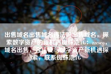 出售域名出售域名违法吗出售域名，探索数字资产的新机遇蜘蛛池TG：zzcseo，域名出售，合法性与数字资产新机遇探索，联系蜘蛛池TG