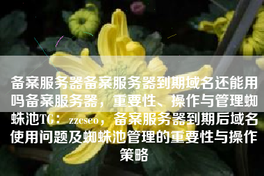 备案服务器备案服务器到期域名还能用吗备案服务器，重要性、操作与管理蜘蛛池TG：zzcseo，备案服务器到期后域名使用问题及蜘蛛池管理的重要性与操作策略