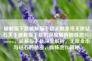 破解版下载破解版下载无限金币无限钻石关于破解版下载的深度解析蜘蛛池TG：zzcseo，破解版下载深度解析，无限金币与钻石的秘密，蜘蛛池TG揭秘