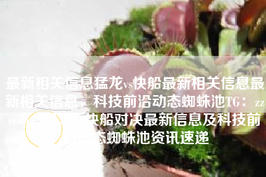 最新相关信息猛龙vs快船最新相关信息最新相关信息，科技前沿动态蜘蛛池TG：zzcseo，猛龙VS快船对决最新信息及科技前沿动态蜘蛛池资讯速递