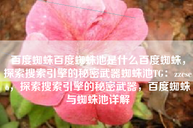 百度蜘蛛百度蜘蛛池是什么百度蜘蛛，探索搜索引擎的秘密武器蜘蛛池TG：zzcseo，探索搜索引擎的秘密武器，百度蜘蛛与蜘蛛池详解