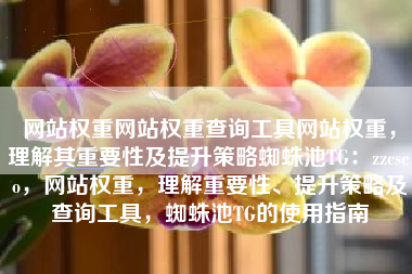 网站权重网站权重查询工具网站权重，理解其重要性及提升策略蜘蛛池TG：zzcseo，网站权重，理解重要性、提升策略及查询工具，蜘蛛池TG的使用指南
