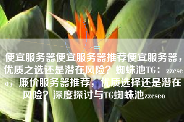 便宜服务器便宜服务器推荐便宜服务器，优质之选还是潜在风险？蜘蛛池TG：zzcseo，廉价服务器推荐，优质选择还是潜在风险？深度探讨与TG蜘蛛池zzcseo