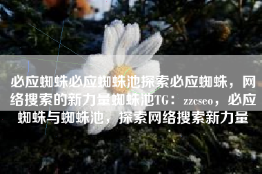 必应蜘蛛必应蜘蛛池探索必应蜘蛛，网络搜索的新力量蜘蛛池TG：zzcseo，必应蜘蛛与蜘蛛池，探索网络搜索新力量