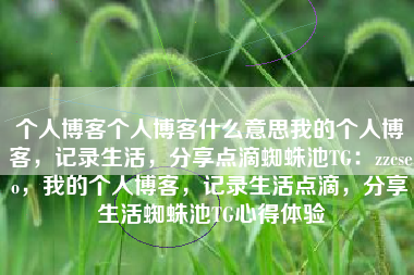 个人博客个人博客什么意思我的个人博客，记录生活，分享点滴蜘蛛池TG：zzcseo，我的个人博客，记录生活点滴，分享生活蜘蛛池TG心得体验