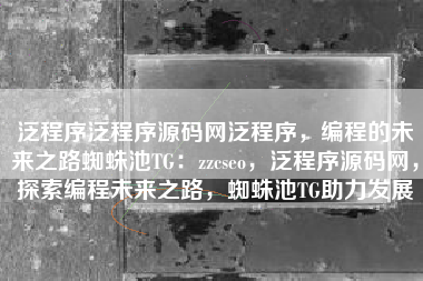 泛程序泛程序源码网泛程序，编程的未来之路蜘蛛池TG：zzcseo，泛程序源码网，探索编程未来之路，蜘蛛池TG助力发展