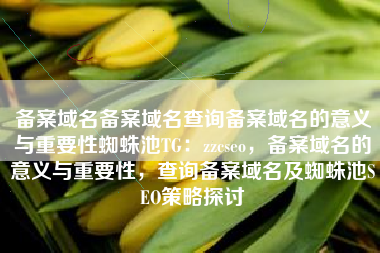 备案域名备案域名查询备案域名的意义与重要性蜘蛛池TG：zzcseo，备案域名的意义与重要性，查询备案域名及蜘蛛池SEO策略探讨